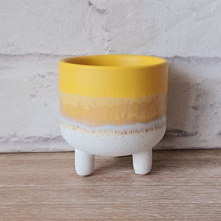 Yellow Mojave Planter