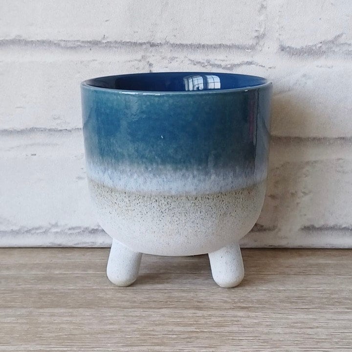 Large Blue Mojave Planter