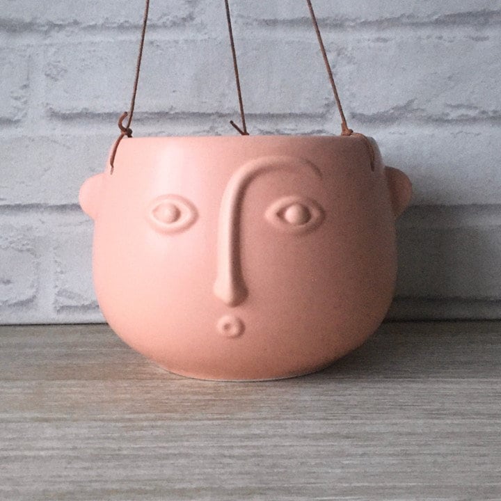 Pink Hanging Planter