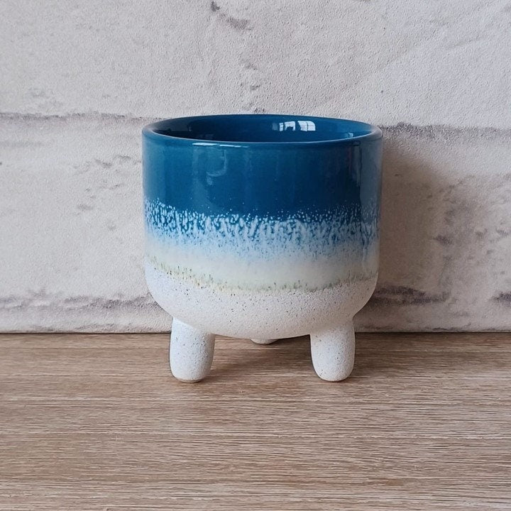 Blue Mojave Planter