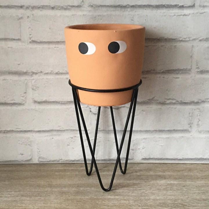 Cheeky Eyes Planter