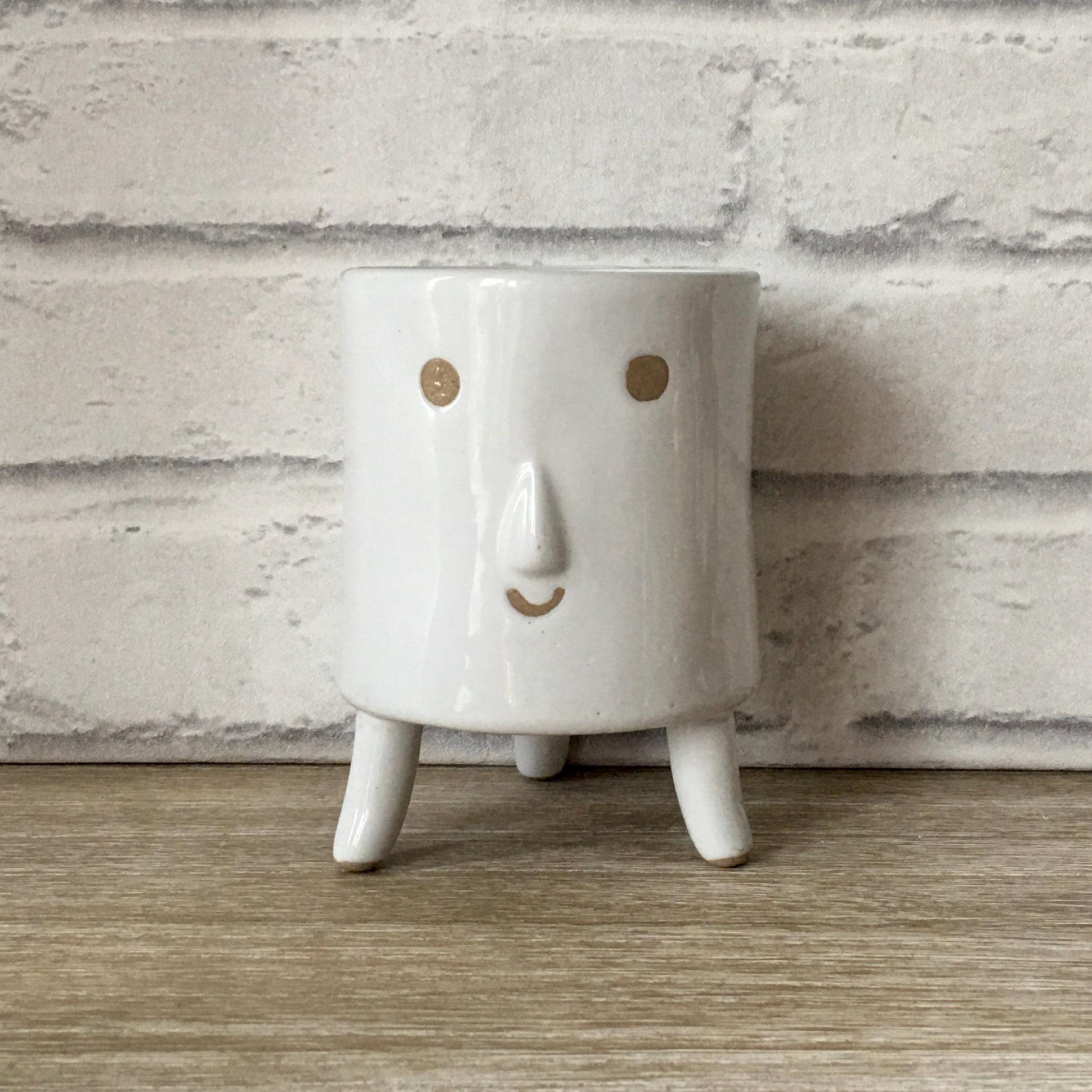 Smiling Face Planter