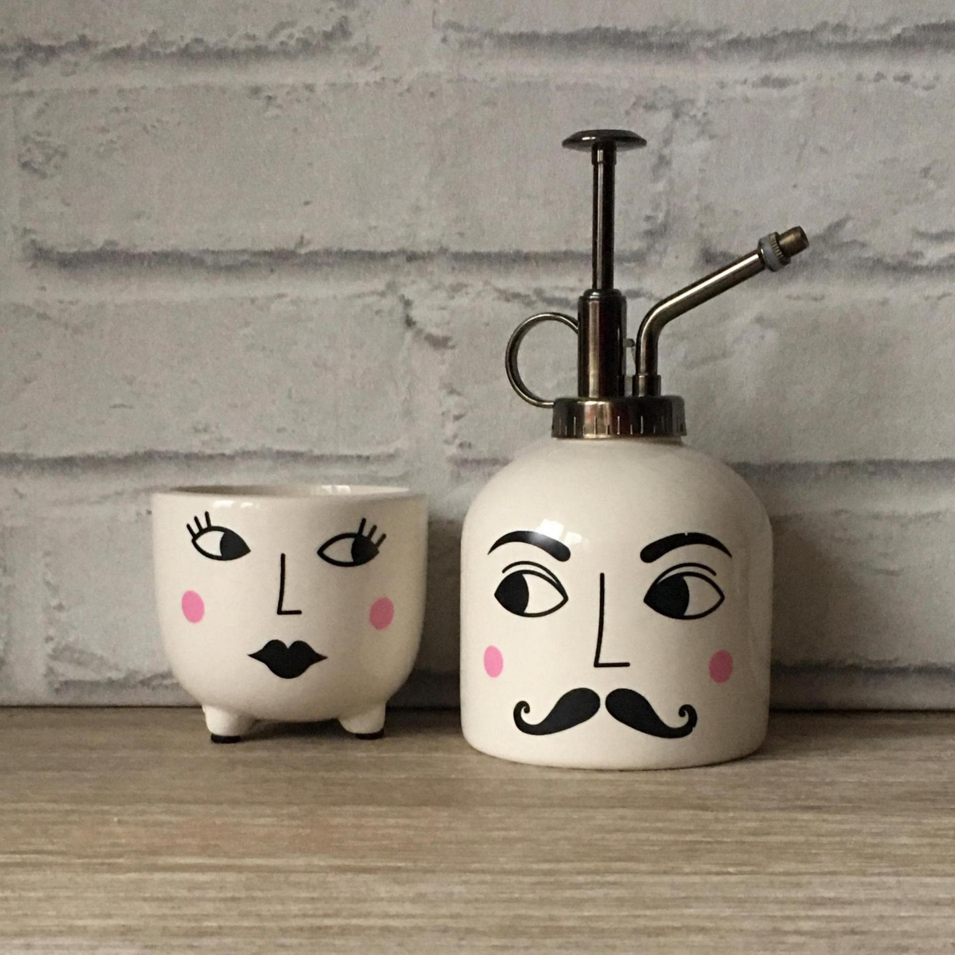 Plant Mister & Planter Set