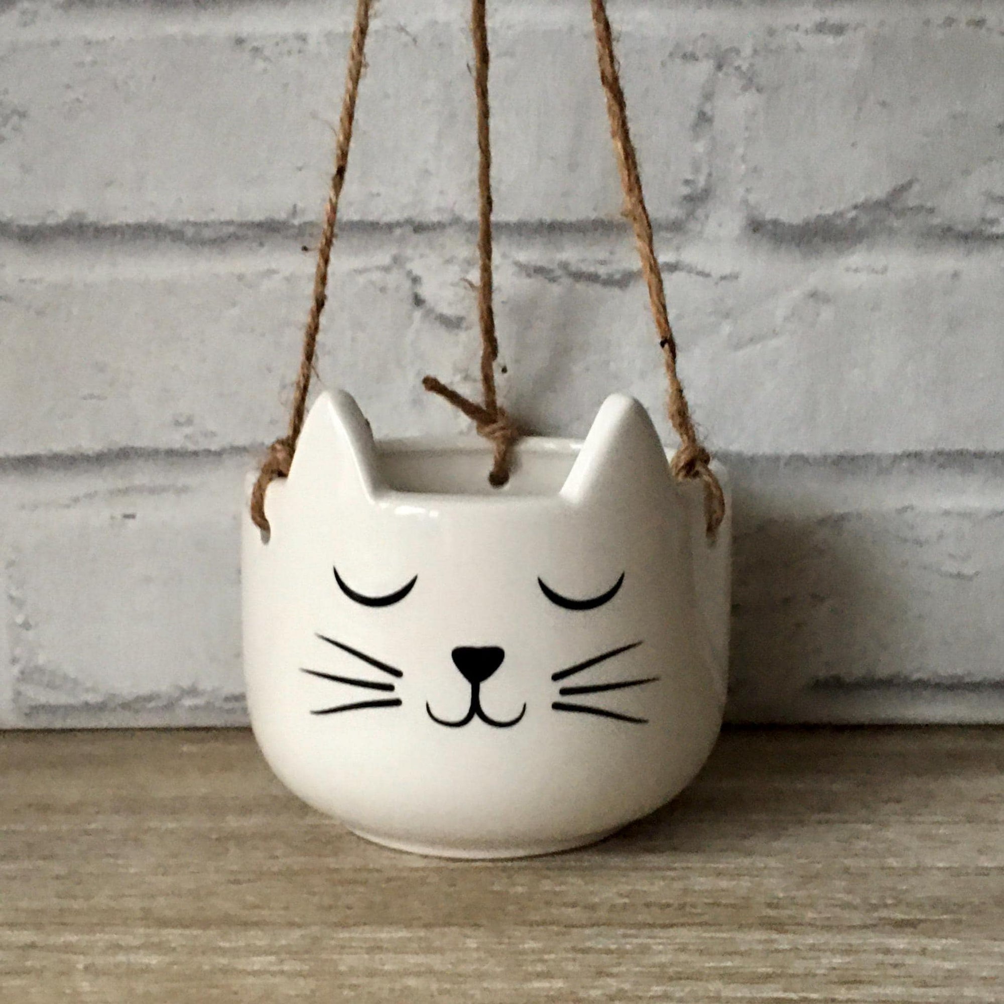 Cat Hanging Planter